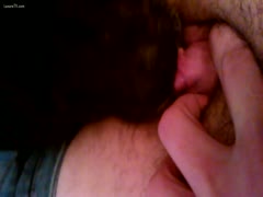 A puppy sampling an erotically aroused vagina